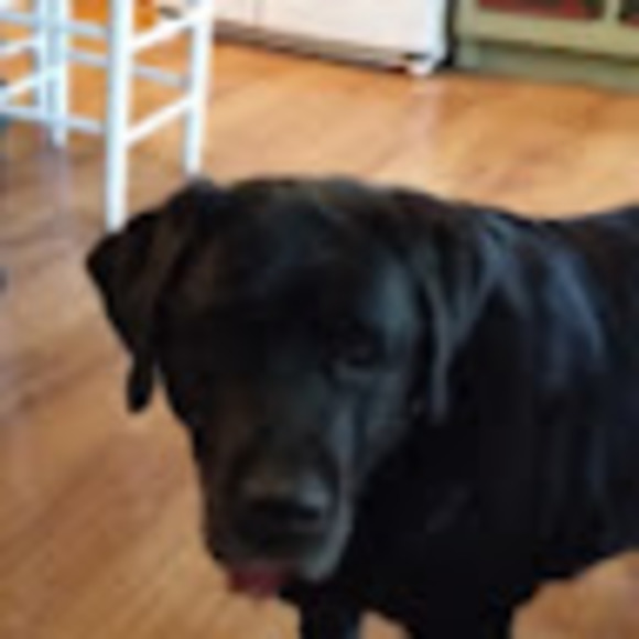 Meet your Posher, Frances - Picture 1 of 1